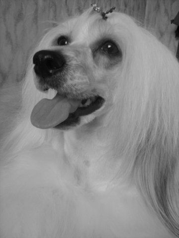  Volshebnaja Loshadka Mitchel