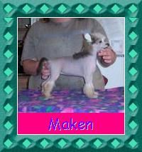 Mosaic's Maken a Masterpiece