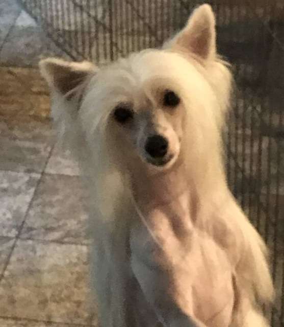 Whispering Lane Quarter Mile