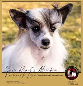 Jess' Royals Moonbow Princesa Léia