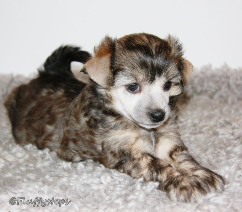 Favorite Picture