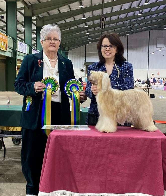 Ch Oolagha Kristol Ayla JW