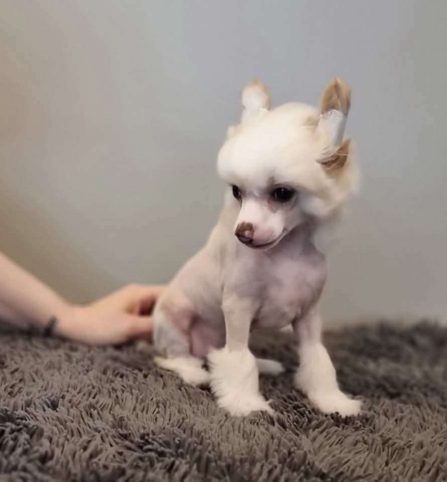 Rawspirit Happy Days