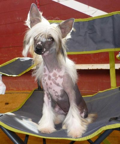 Abby de L'Essence de Mon Tout