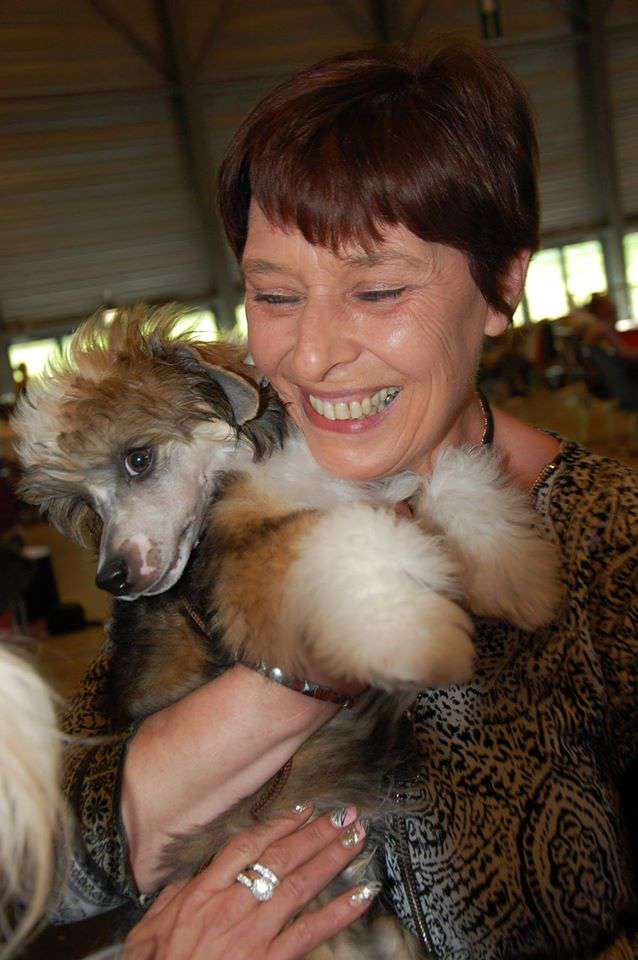 Ouragan Joyau de Brocéliande