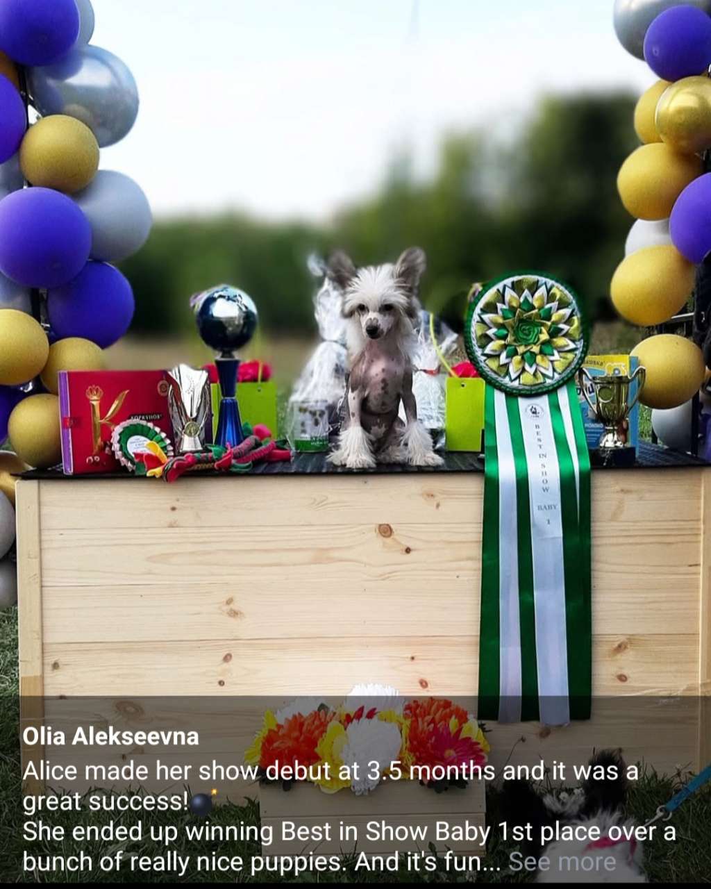 Art Rebellion Dragon Inside