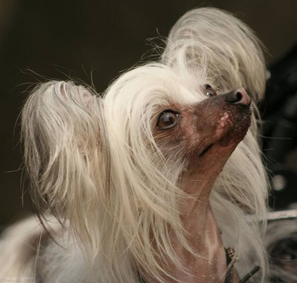 Debetty Diamond Forever