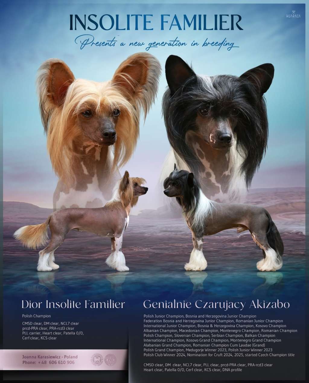 Opal Waleczna Insolite Familier