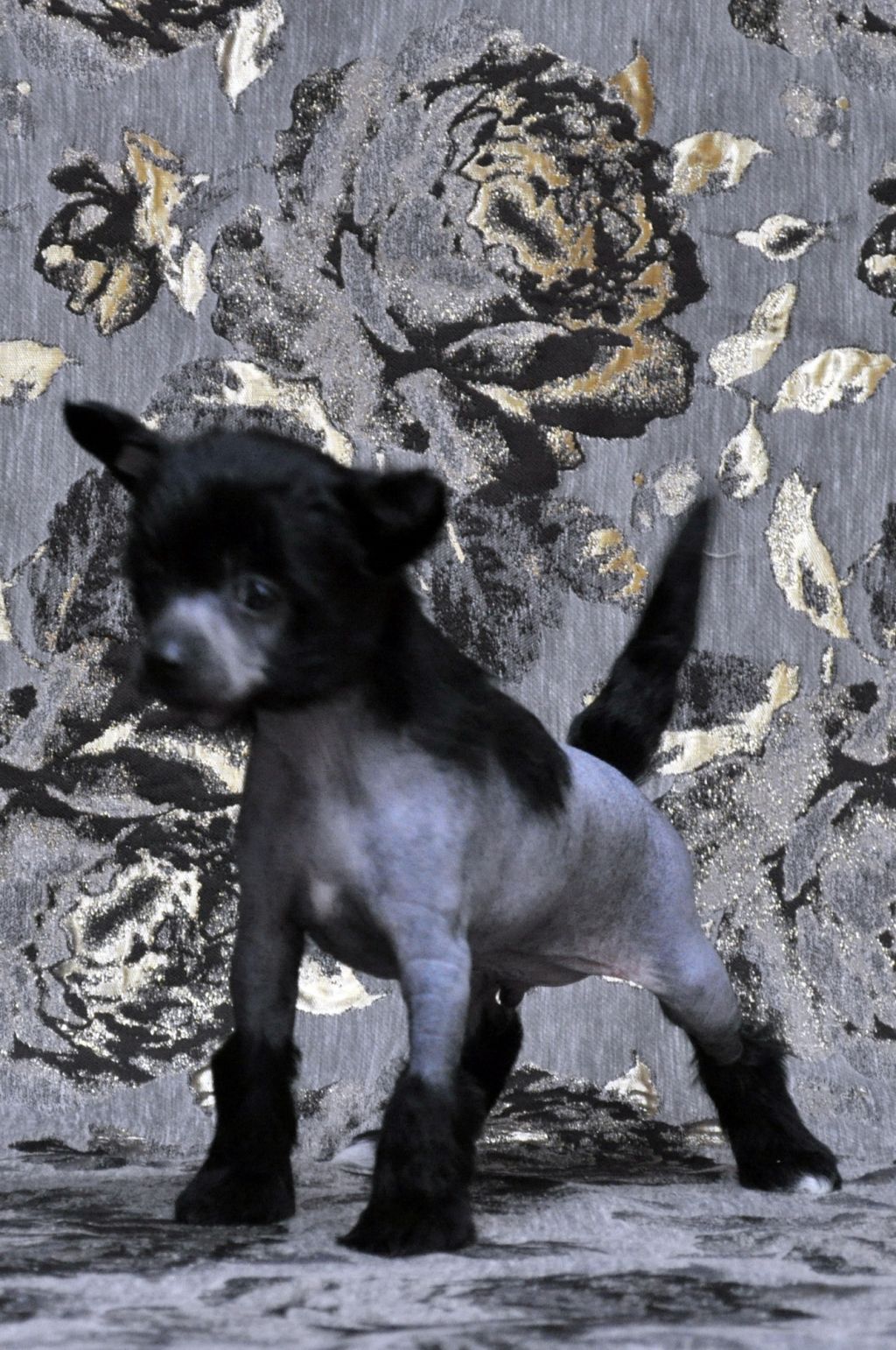 Luxurious Happy ticket