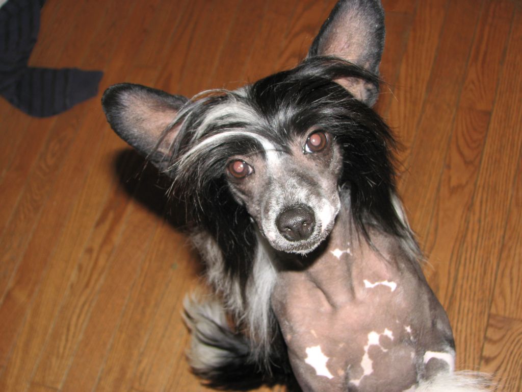 Perizads Lunar Ecliplse