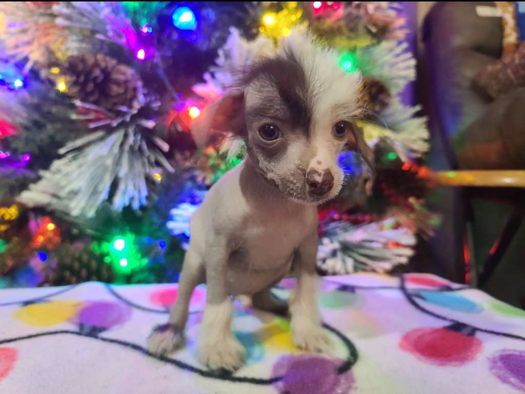 Long Haul's One Hungry Glutton