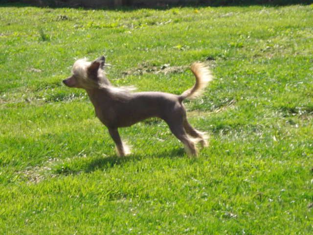 Spiritual Sidney of B'Juled