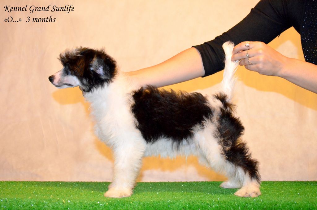 Grand Sunlife Off Limits