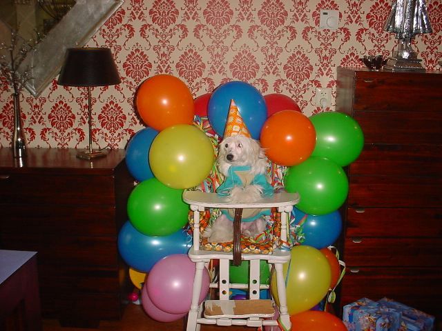 Raising-Sun of Charley's Generation