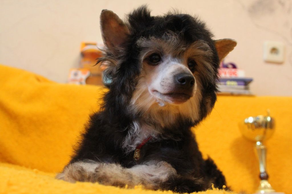 Luxor Valley Kings Alluvial Gold 