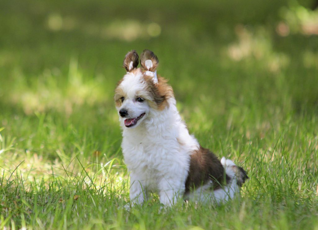 Beloved Sparknotes Albara