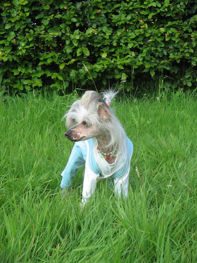 Moonswift Opera Star