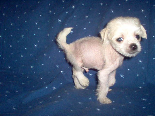 Magic'N Mystic Born To Loveyou