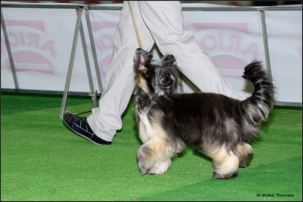 American Pie de Cabanelas