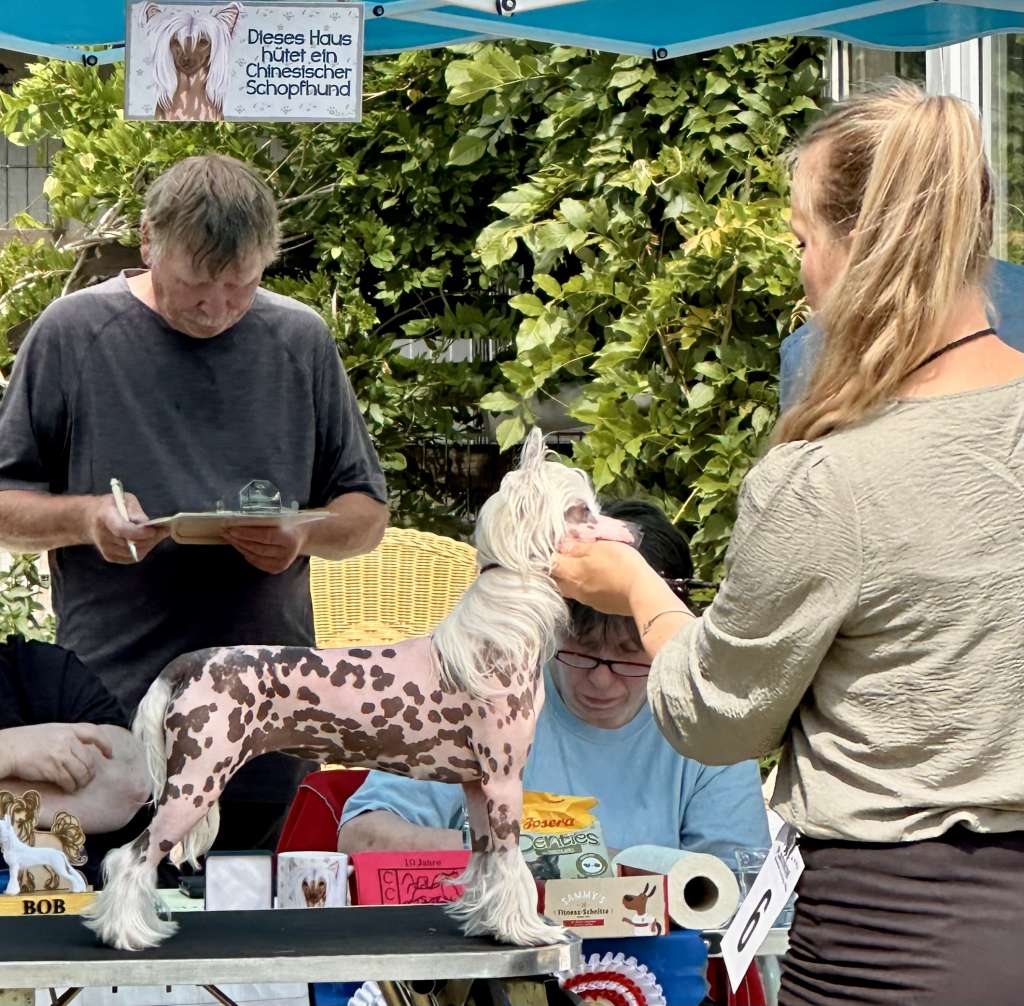 Viva Ballerina von Shinbashi