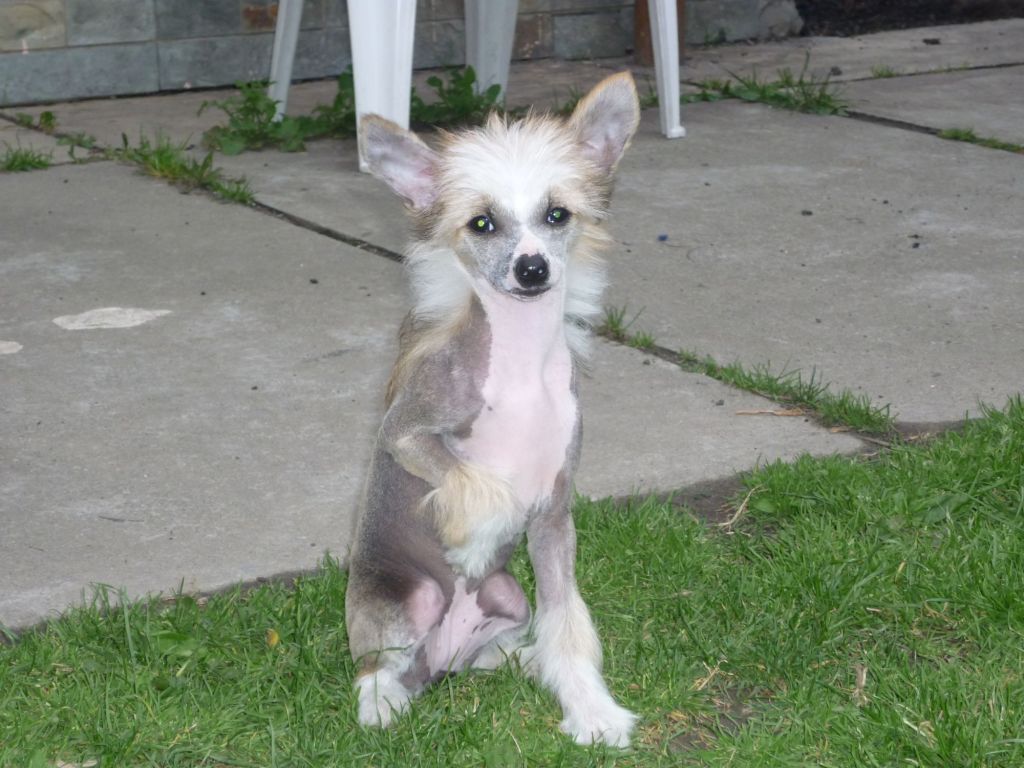 Cecilka z Mlýnského dvora