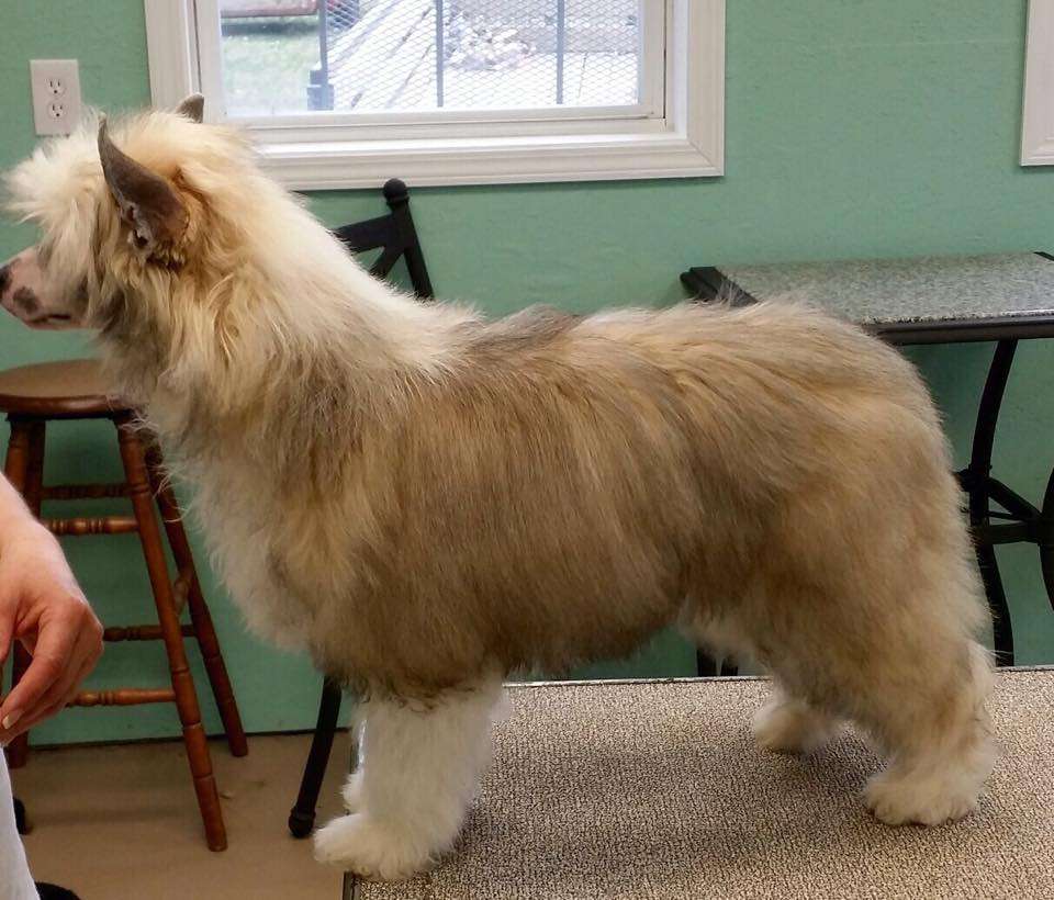 Gracieux That's What She Said