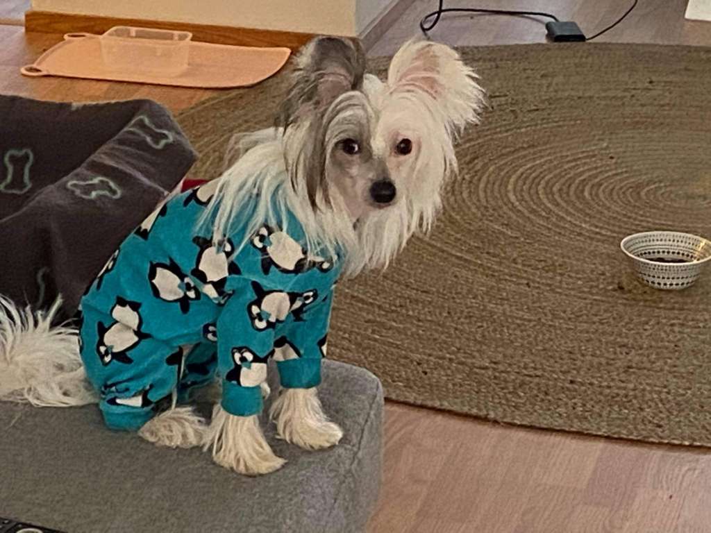 Falucre's The Riddle