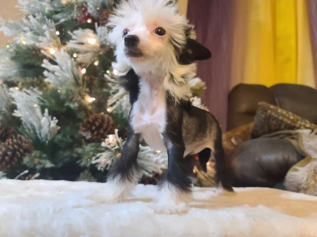 Long Haul's I Don't Know Is On 3rd