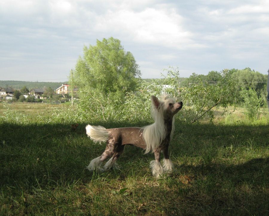 Picture