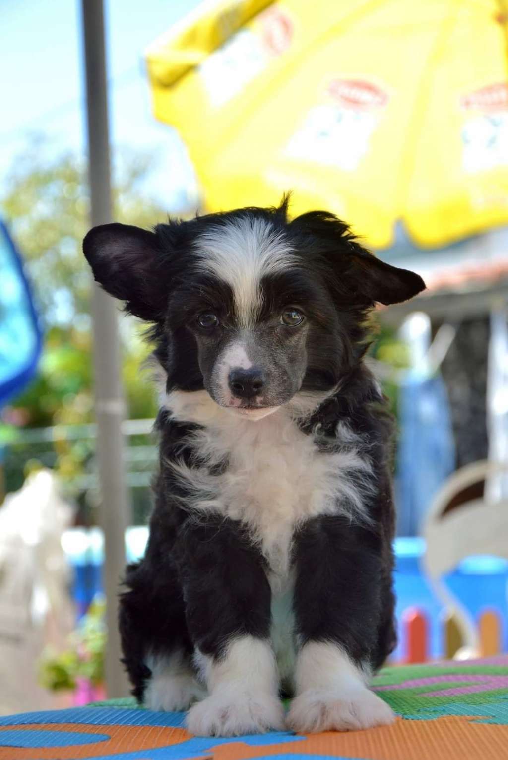 Dick Dickerson de Lybóriu's Legacy