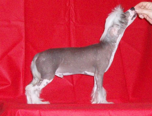 Väråsen Headmaster