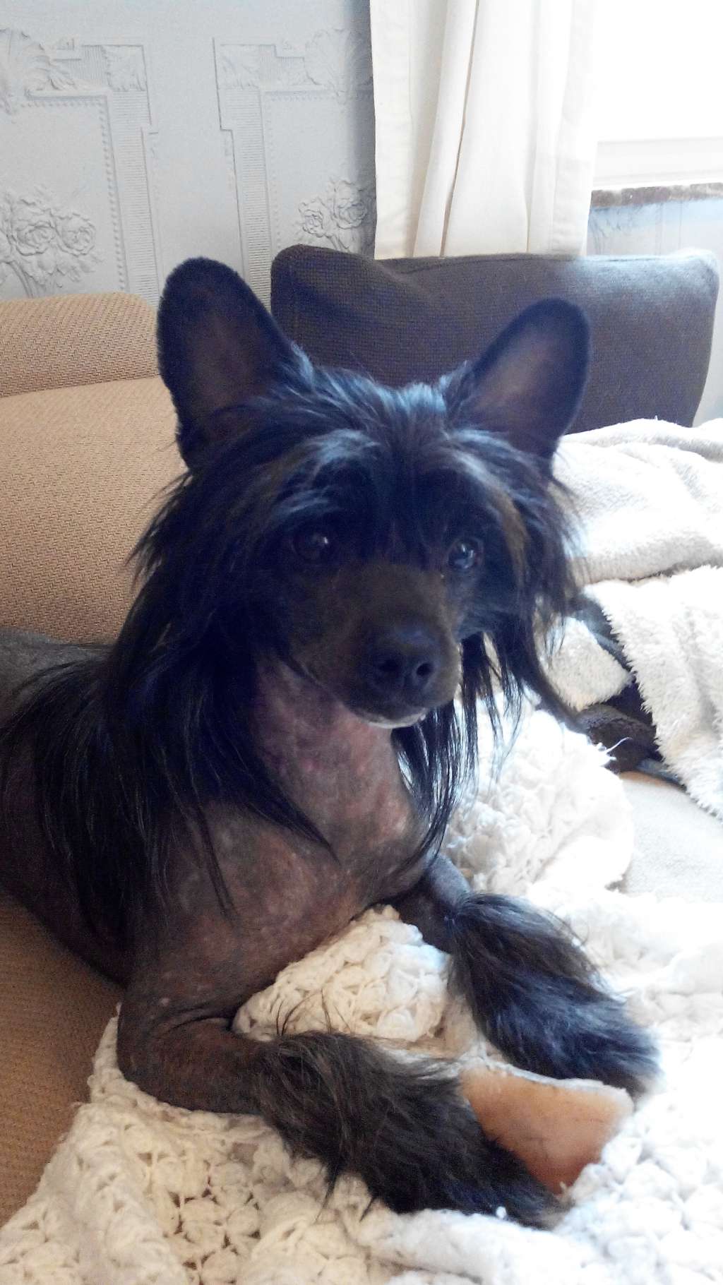 Nakao From China with love