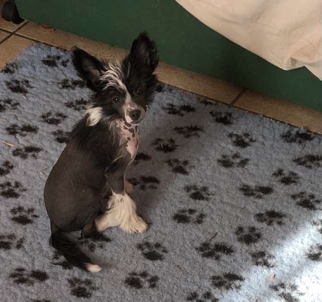 Manymore Catch me if you can