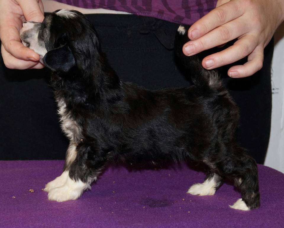 Sun Dan Only For You