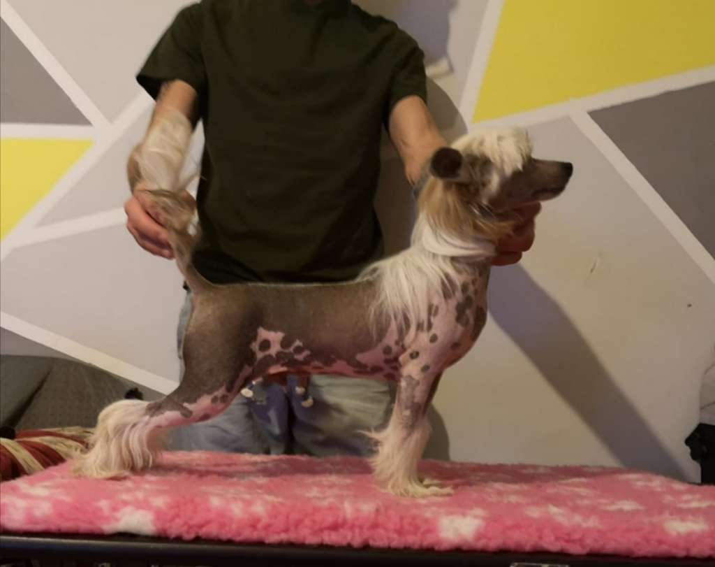 So-soft Quentin One Tree Hill