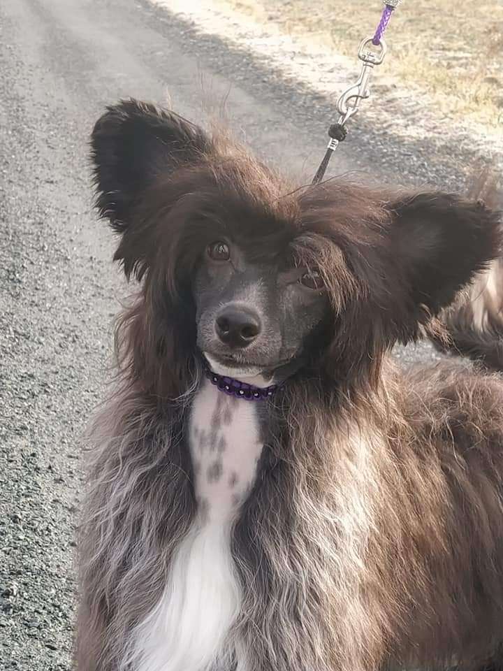 Tournais MR Sassy Pants