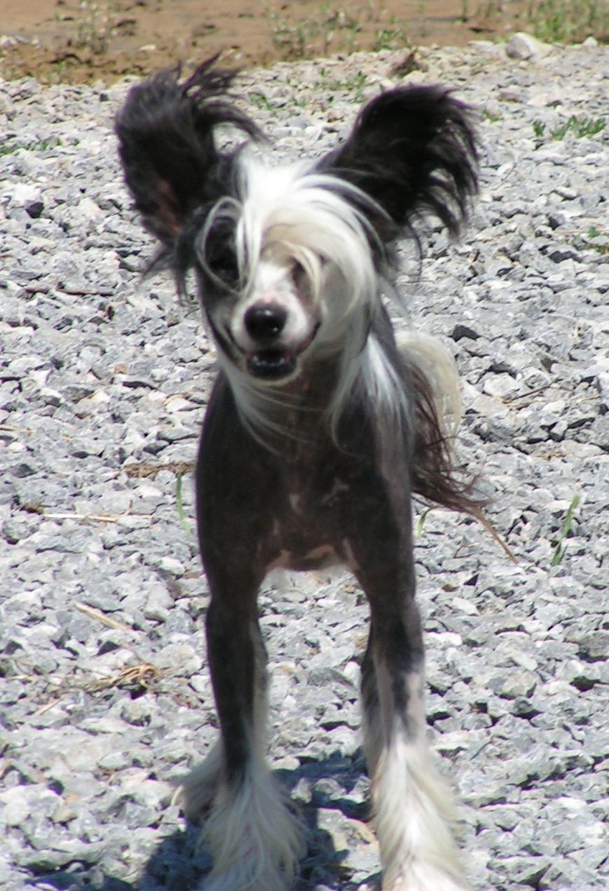 Six Gems Mr Rock Hudson