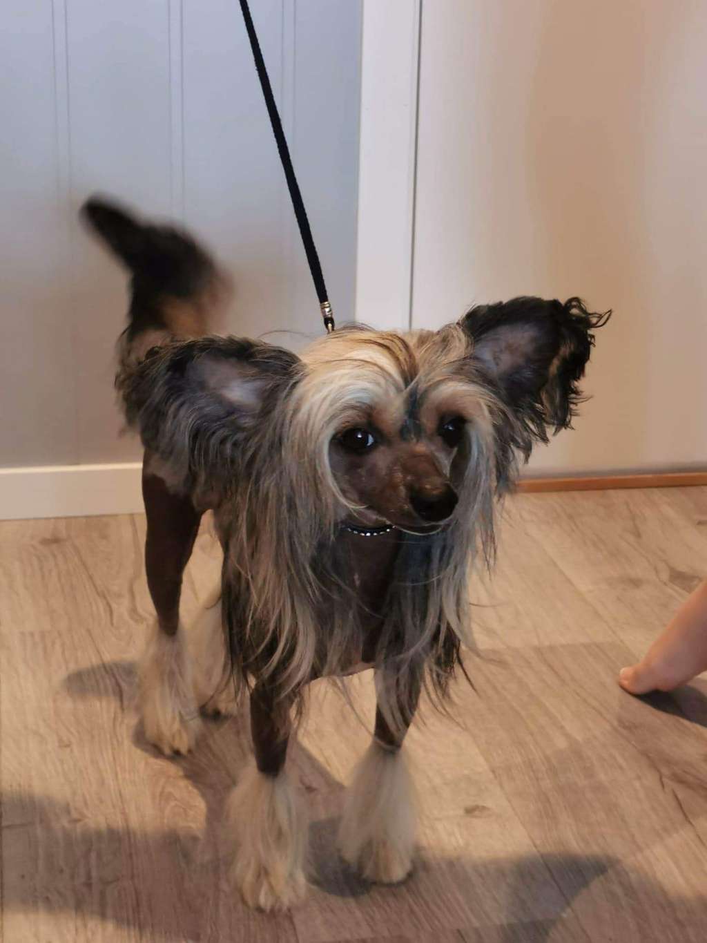 Leonie Lustig Made of frabies beauties