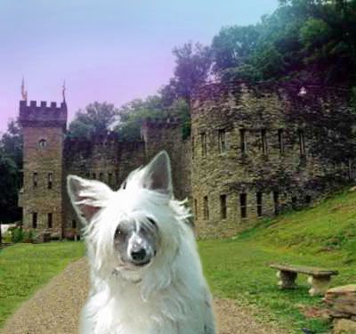 Castlecoves Dragon In The Mist