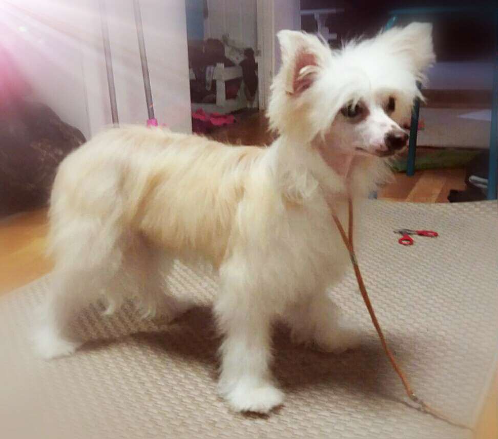 Miinuksen Ehtaa Timanttia