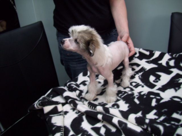 Mixkynz Lets Face It