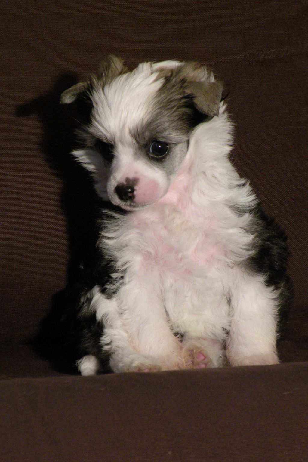 Dolce Vita Du Coeur Des Tenebres