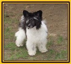 Feels so good von Shinbashi