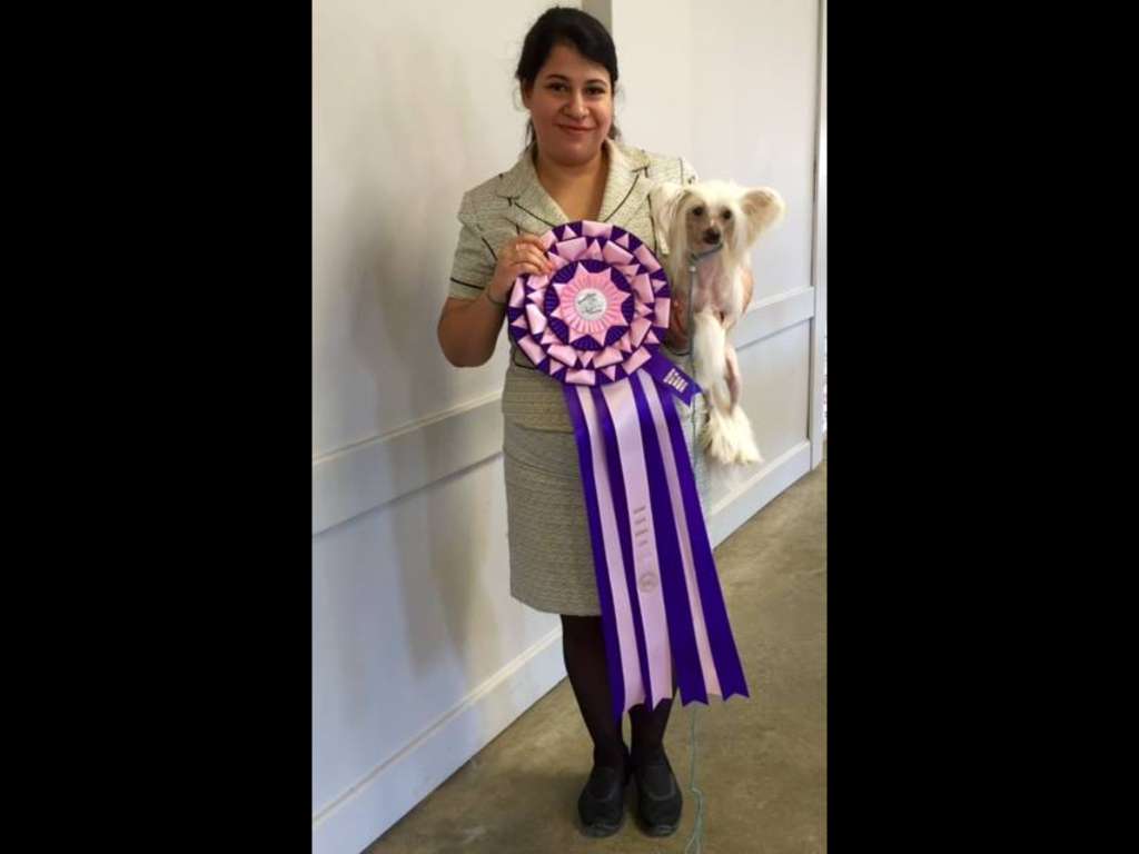 Colliwood's Can't Hold Back Anymore