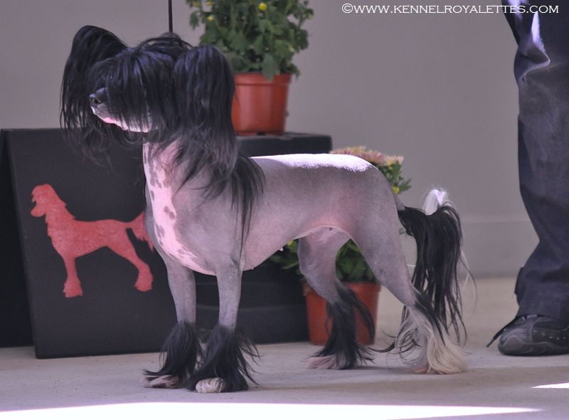 Kiikunkaakun Liirumlaarum