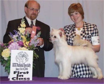 Earlylite Just Kidding