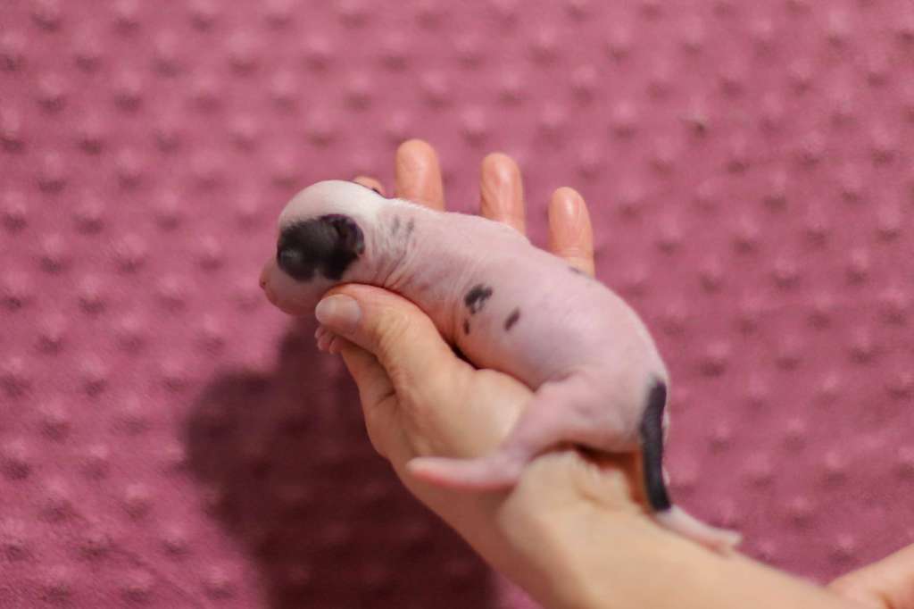 Paris Insolite Familier