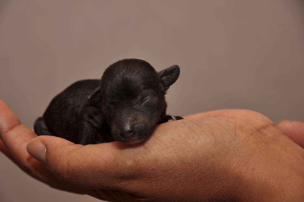 Desireme  Why Am I Crying