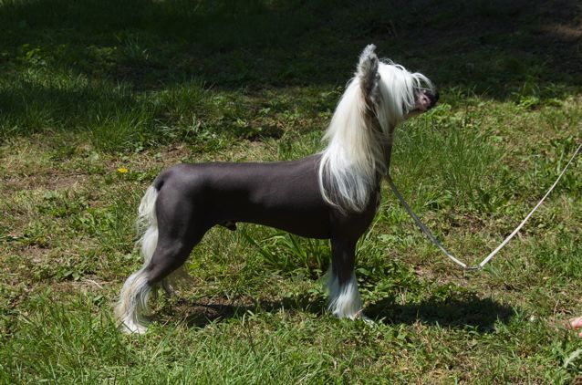 Woodlyn Money Changes Everyf'ing