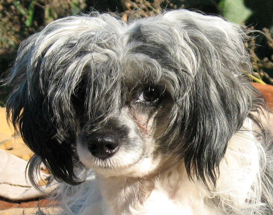 Vellar Pljus Kiri Stel'